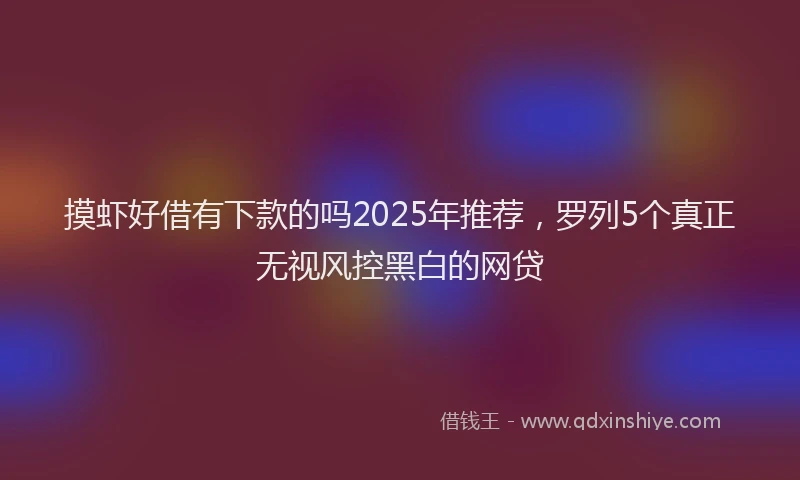 摸虾好借有下款的吗2025年推荐，罗列5个真正无视风控黑白的网贷