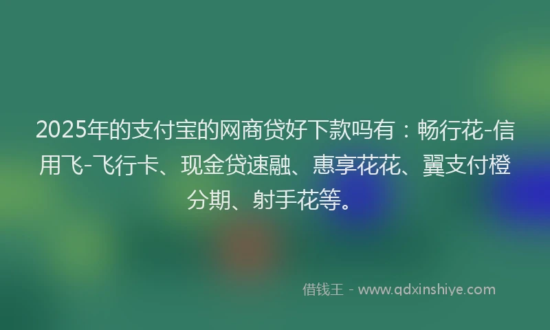 2025年的支付宝的网商贷好下款吗有：畅行花-信用飞-飞行卡、现金贷速融、惠享花花、翼支付橙分期、射手花等。