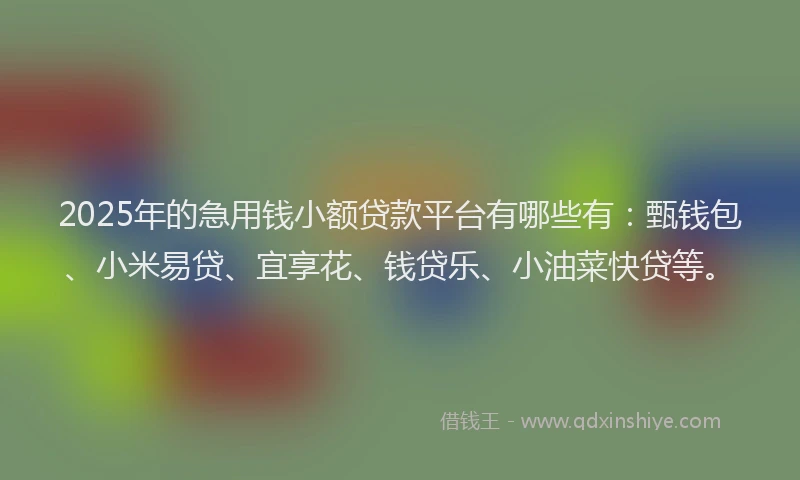 2025年的急用钱小额贷款平台有哪些有：甄钱包、小米易贷、宜享花、钱贷乐、小油菜快贷等。