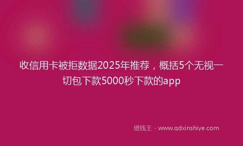 收信用卡被拒数据2025年推荐，概括5个无视一切包下款5000秒下款的app