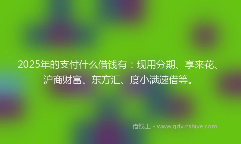 2025年的支付什么借钱有：现用分期、享来花、沪商财富、东方汇、度小满速借等。