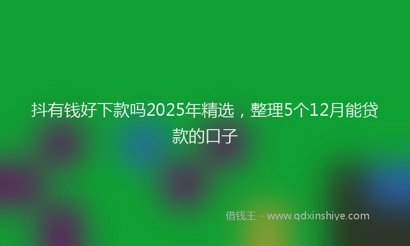 抖有钱好下款吗2025年精选，整理5个12月能贷款的口子