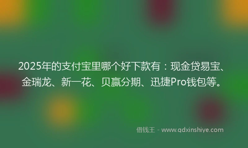 2025年的支付宝里哪个好下款有：现金贷易宝、金瑞龙、新一花、贝赢分期、迅捷Pro钱包等。
