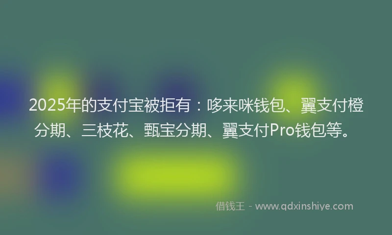 2025年的支付宝被拒有：哆来咪钱包、翼支付橙分期、三枝花、甄宝分期、翼支付Pro钱包等。