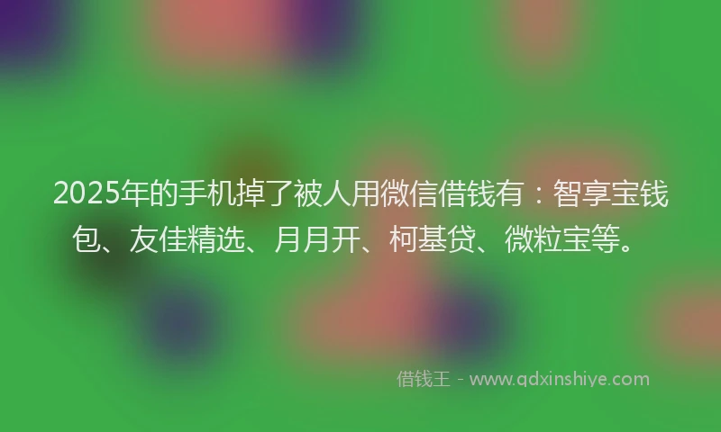 2025年的手机掉了被人用微信借钱有：智享宝钱包、友佳精选、月月开、柯基贷、微粒宝等。