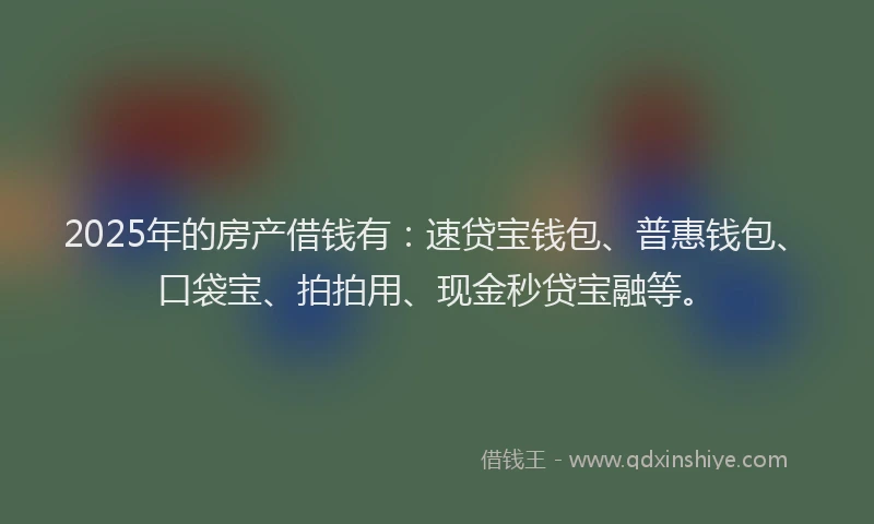 2025年的房产借钱有：速贷宝钱包、普惠钱包、口袋宝、拍拍用、现金秒贷宝融等。