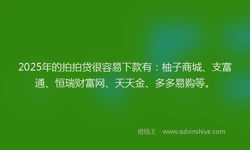 2025年的拍拍贷很容易下款有：柚子商城、支富通、恒瑞财富网、天天金、多多易购等。