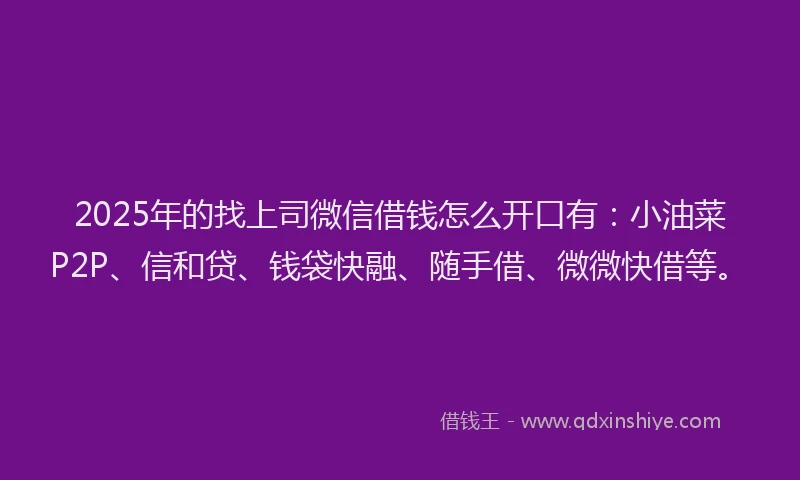 2025年的找上司微信借钱怎么开口有：小油菜P2P、信和贷、钱袋快融、随手借、微微快借等。