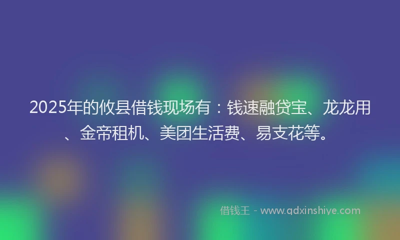 2025年的攸县借钱现场有：钱速融贷宝、龙龙用、金帝租机、美团生活费、易支花等。