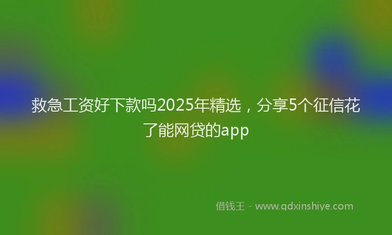 救急工资好下款吗2025年精选，分享5个征信花了能网贷的app