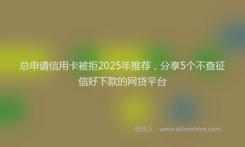 总申请信用卡被拒2025年推荐，分享5个不查征信好下款的网贷平台