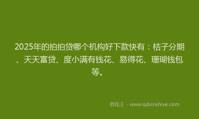 2025年的拍拍贷哪个机构好下款快有：桔子分期、天天富贷、度小满有钱花、易得花、珊瑚钱包等。