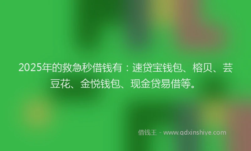 2025年的救急秒借钱有：速贷宝钱包、榕贝、芸豆花、金悦钱包、现金贷易借等。
