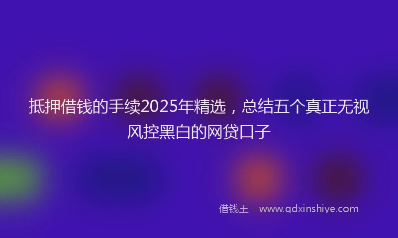 抵押借钱的手续2025年精选，总结五个真正无视风控黑白的网贷口子