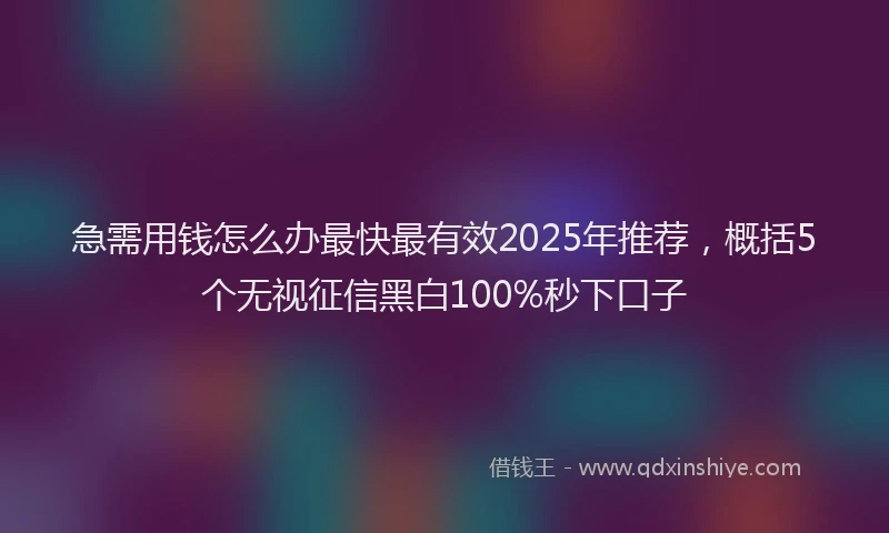 急需用钱怎么办最快最有效2025年推荐，概括5个无视征信黑白100%秒下口子
