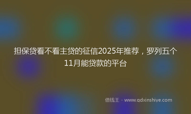 担保贷看不看主贷的征信2025年推荐，罗列五个11月能贷款的平台