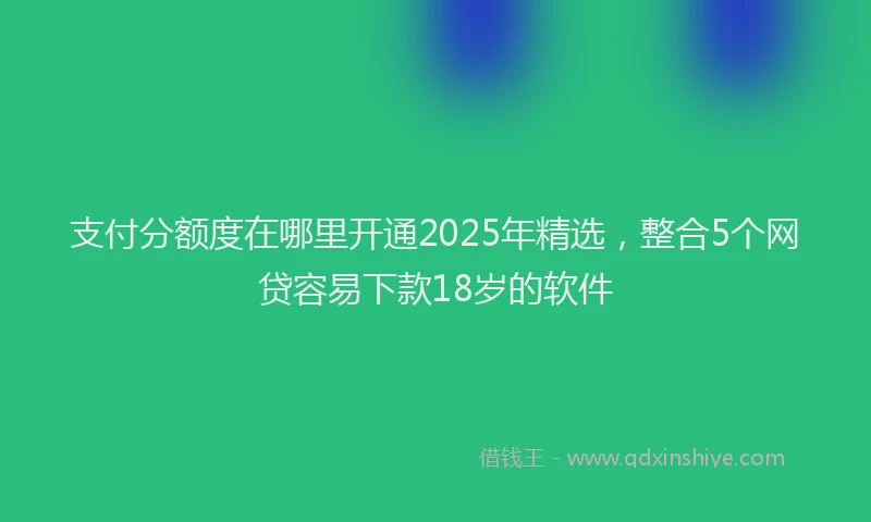 支付分额度在哪里开通2025年精选，整合5个网贷容易下款18岁的软件