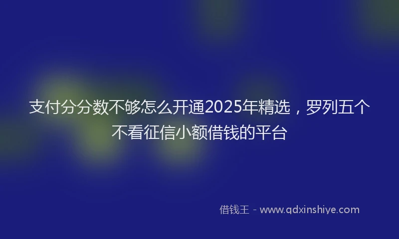 支付分分数不够怎么开通2025年精选，罗列五个不看征信小额借钱的平台
