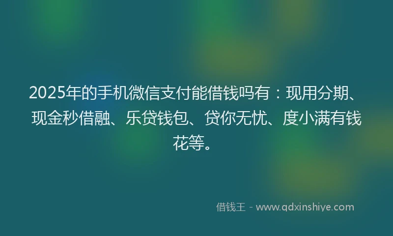 2025年的手机微信支付能借钱吗有：现用分期、现金秒借融、乐贷钱包、贷你无忧、度小满有钱花等。