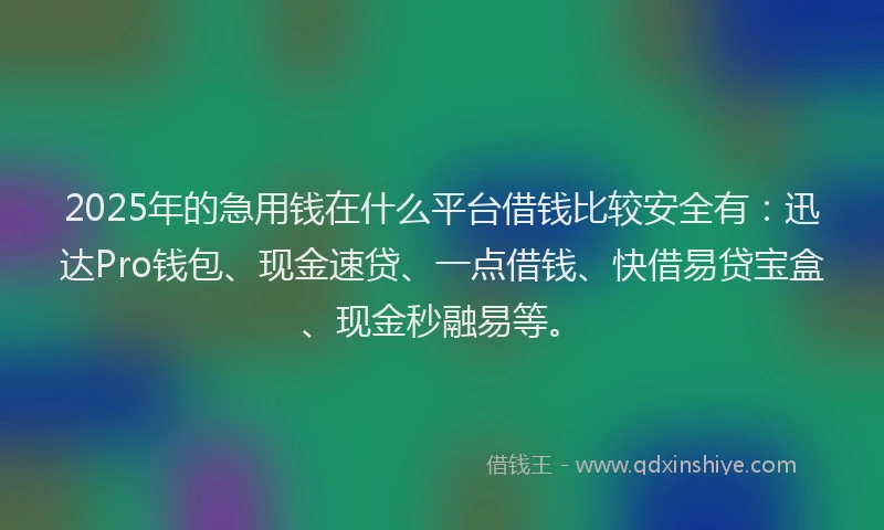 2025年的急用钱在什么平台借钱比较安全有：迅达Pro钱包、现金速贷、一点借钱、快借易贷宝盒、现金秒融易等。
