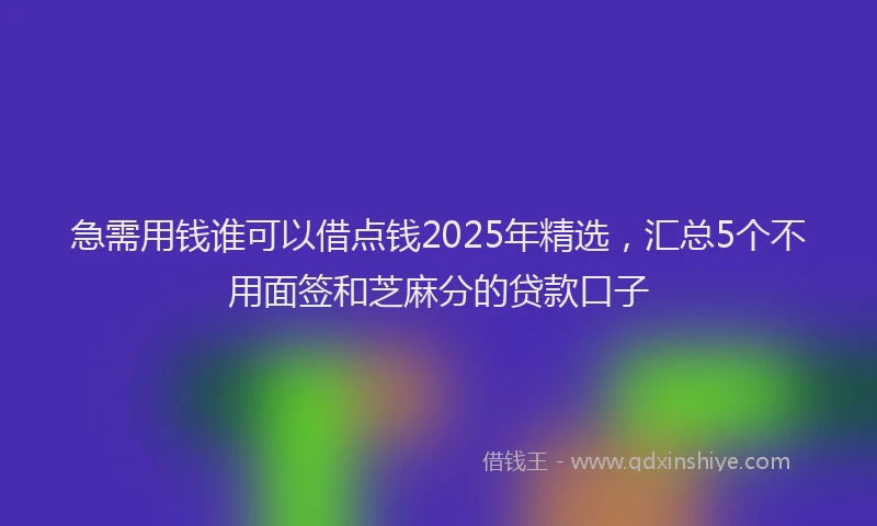 急需用钱谁可以借点钱2025年精选，汇总5个不用面签和芝麻分的贷款口子