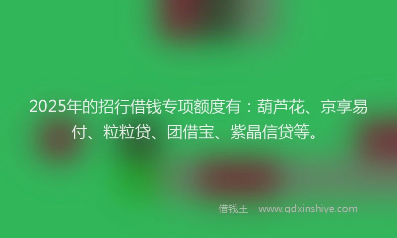 2025年的招行借钱专项额度有：葫芦花、京享易付、粒粒贷、团借宝、紫晶信贷等。