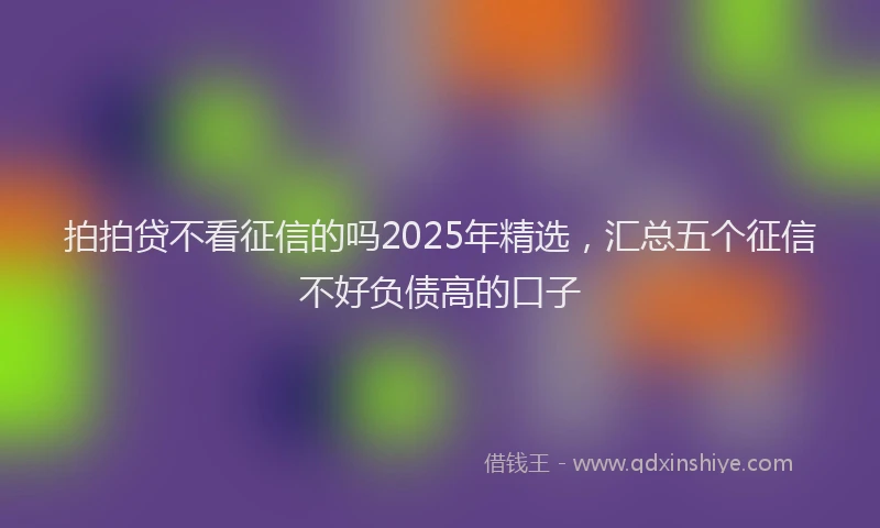 拍拍贷不看征信的吗2025年精选，汇总五个征信不好负债高的口子