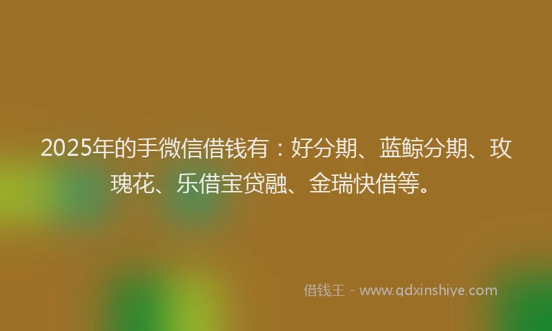 2025年的手微信借钱有：好分期、蓝鲸分期、玫瑰花、乐借宝贷融、金瑞快借等。