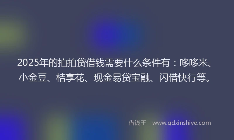 2025年的拍拍贷借钱需要什么条件有：哆哆米、小金豆、桔享花、现金易贷宝融、闪借快行等。