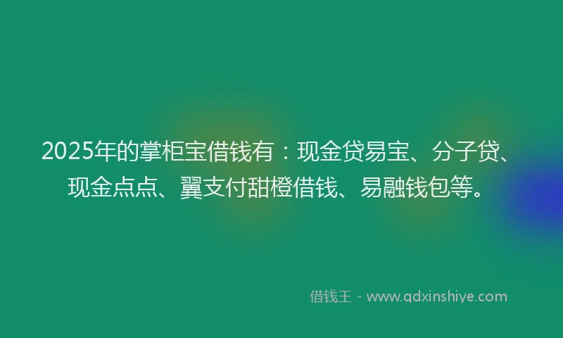 2025年的掌柜宝借钱有：现金贷易宝、分子贷、现金点点、翼支付甜橙借钱、易融钱包等。