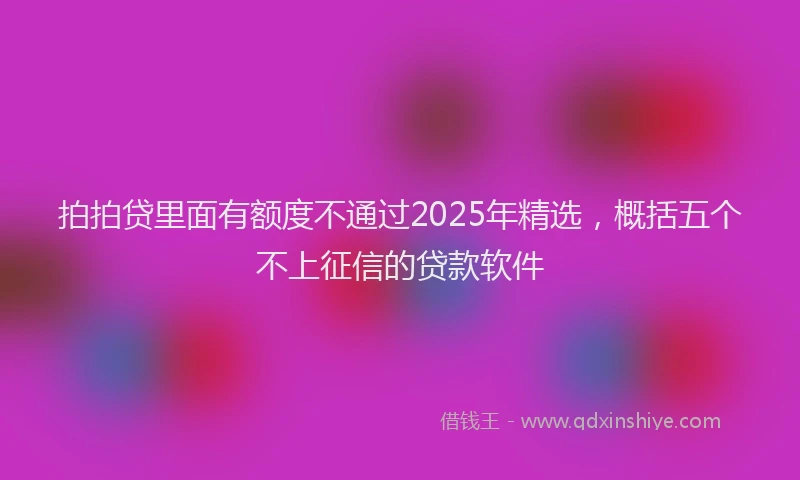 拍拍贷里面有额度不通过2025年精选，概括五个不上征信的贷款软件