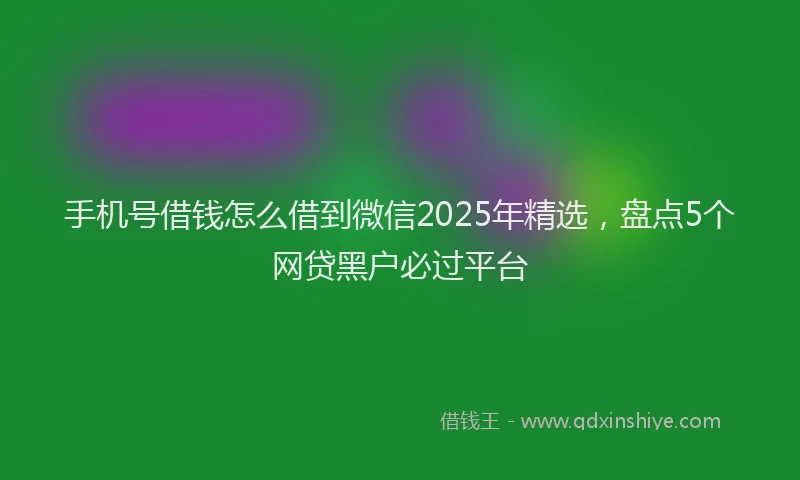手机号借钱怎么借到微信2025年精选，盘点5个网贷黑户必过平台