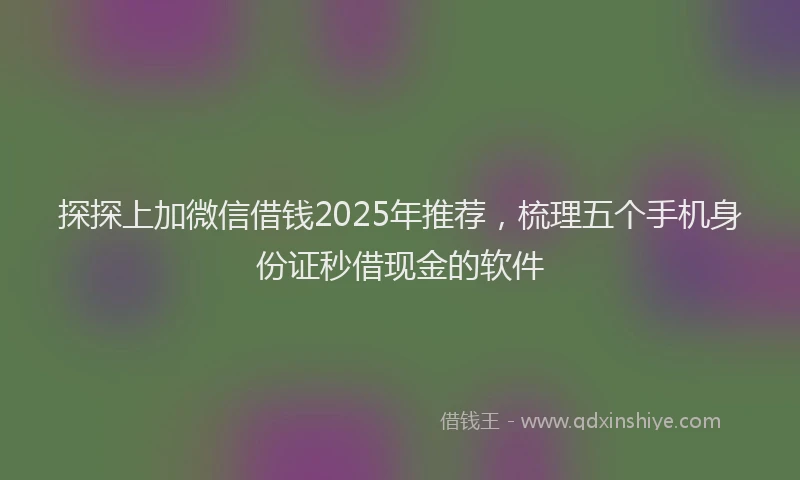 探探上加微信借钱2025年推荐，梳理五个手机身份证秒借现金的软件