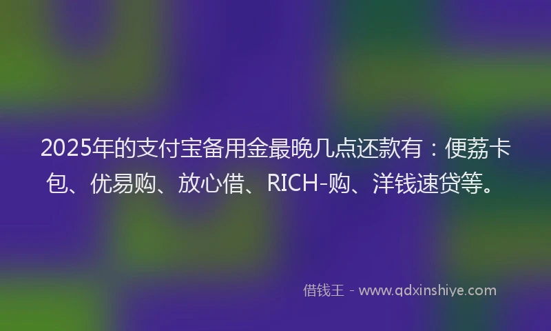 2025年的支付宝备用金最晚几点还款有：便荔卡包、优易购、放心借、RICH-购、洋钱速贷等。