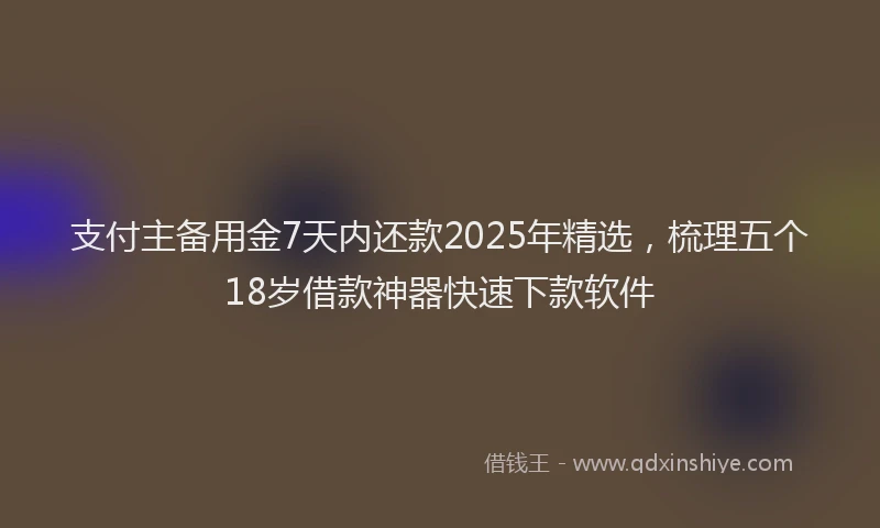 支付主备用金7天内还款2025年精选，梳理五个18岁借款神器快速下款软件