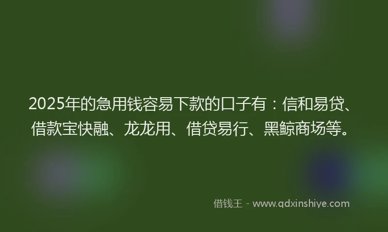 2025年的急用钱容易下款的口子有：信和易贷、借款宝快融、龙龙用、借贷易行、黑鲸商场等。