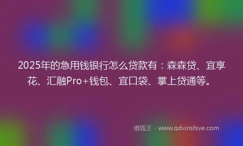 2025年的急用钱银行怎么贷款有：森森贷、宜享花、汇融Pro+钱包、宜口袋、掌上贷通等。