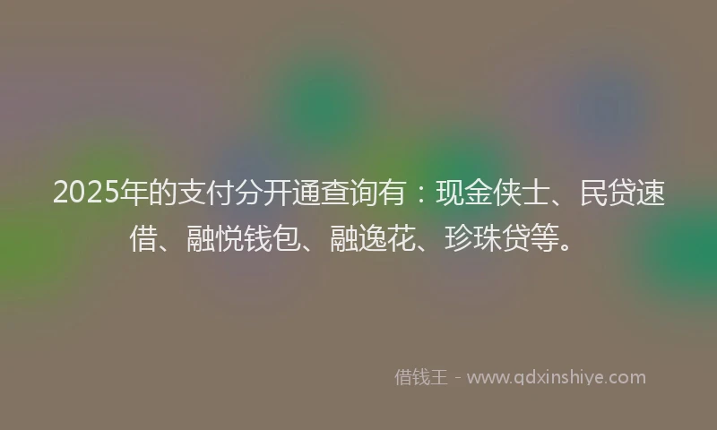 2025年的支付分开通查询有：现金侠士、民贷速借、融悦钱包、融逸花、珍珠贷等。