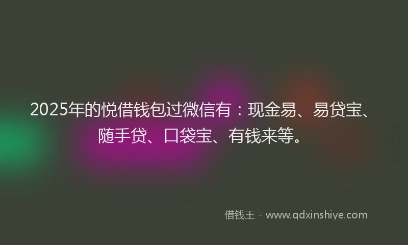 2025年的悦借钱包过微信有：现金易、易贷宝、随手贷、口袋宝、有钱来等。