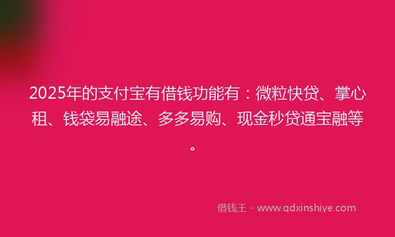 2025年的支付宝有借钱功能有：微粒快贷、掌心租、钱袋易融途、多多易购、现金秒贷通宝融等。