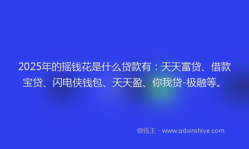 2025年的摇钱花是什么贷款有：天天富贷、借款宝贷、闪电侠钱包、天天盈、你我贷-极融等。
