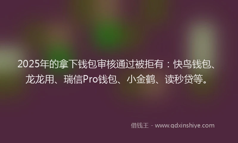2025年的拿下钱包审核通过被拒有：快鸟钱包、龙龙用、瑞信Pro钱包、小金鹤、读秒贷等。
