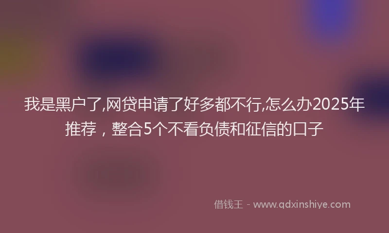 我是黑户了,网贷申请了好多都不行,怎么办2025年推荐，整合5个不看负债和征信的口子