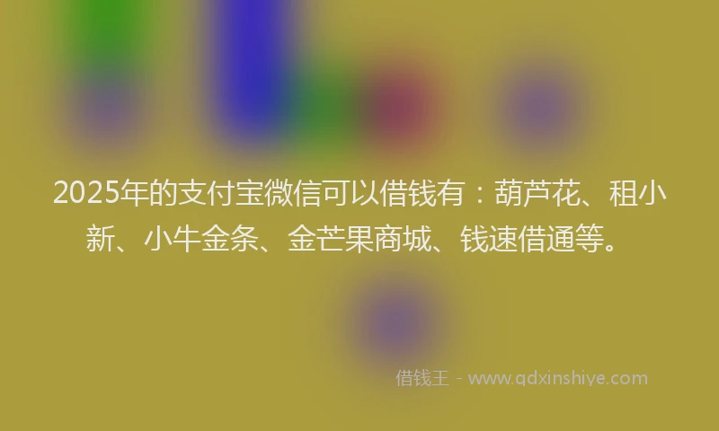 2025年的支付宝微信可以借钱有：葫芦花、租小新、小牛金条、金芒果商城、钱速借通等。