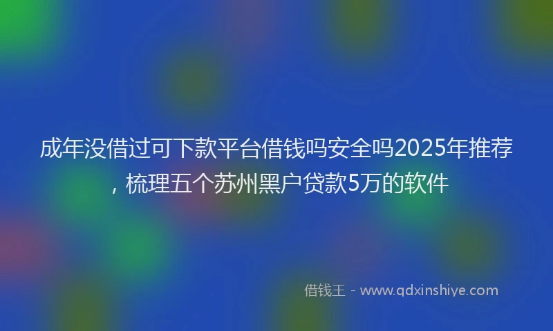 成年没借过可下款平台借钱吗安全吗2025年推荐，梳理五个苏州黑户贷款5万的软件