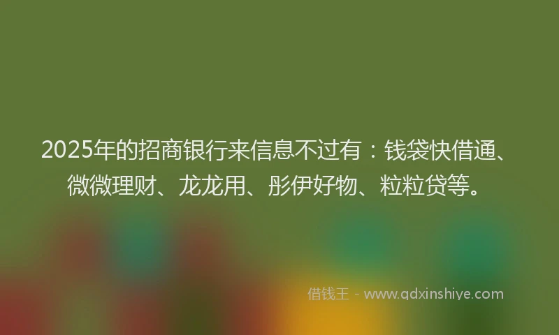 2025年的招商银行来信息不过有：钱袋快借通、微微理财、龙龙用、彤伊好物、粒粒贷等。