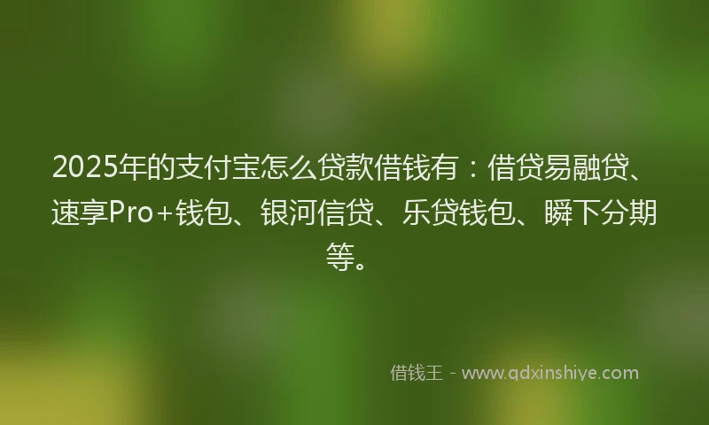 2025年的支付宝怎么贷款借钱有：借贷易融贷、速享Pro+钱包、银河信贷、乐贷钱包、瞬下分期等。