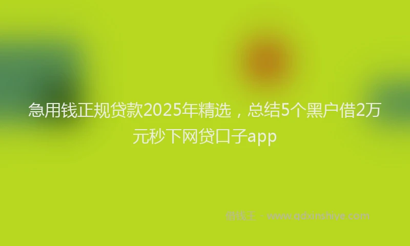 急用钱正规贷款2025年精选，总结5个黑户借2万元秒下网贷口子app