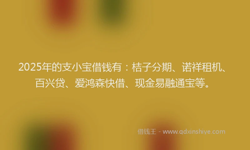 2025年的支小宝借钱有：桔子分期、诺祥租机、百兴贷、爱鸿森快借、现金易融通宝等。