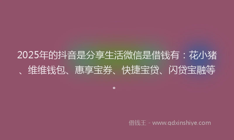 2025年的抖音是分享生活微信是借钱有：花小猪、维维钱包、惠享宝券、快捷宝贷、闪贷宝融等。
